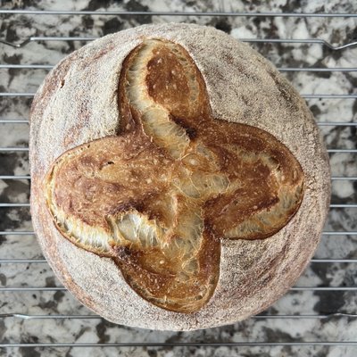 Sourdough Boule