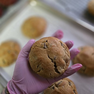 Chocolate Chip Cookie