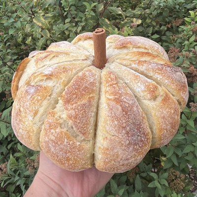 Pumpkin-Shaped Yeast Bread (not sourdough)