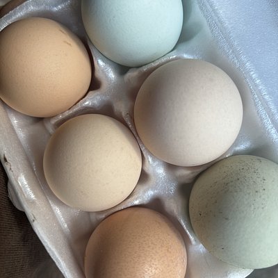 Eggs