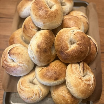 Original Sourdough Bagels 