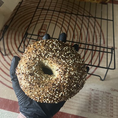 Sourdough Bagels- Everything (4ct)
