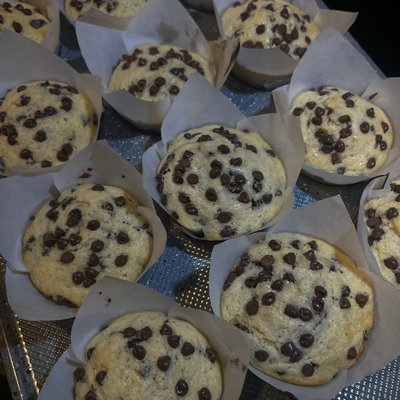 Bakery Style Chocolate Chip Muffins 