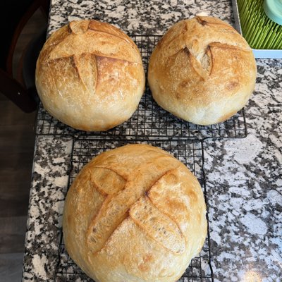 Traditional Sourdough (9in. round) 