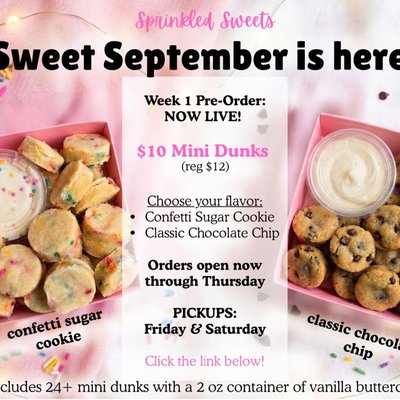 Week 1 - Mini Dunks 🍪