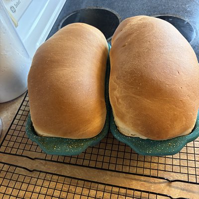 Yeast Sandwich Bread