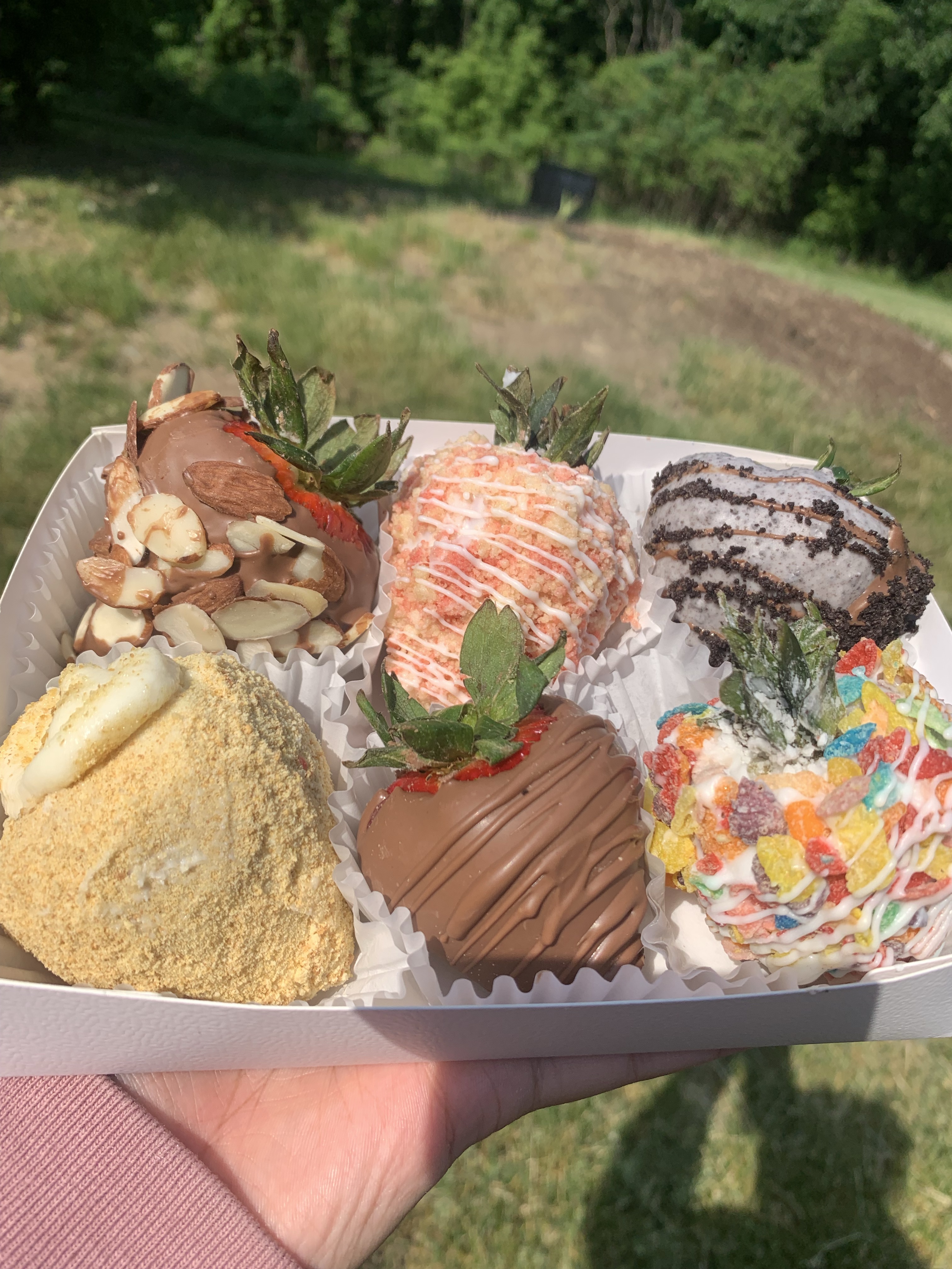 Variety Box