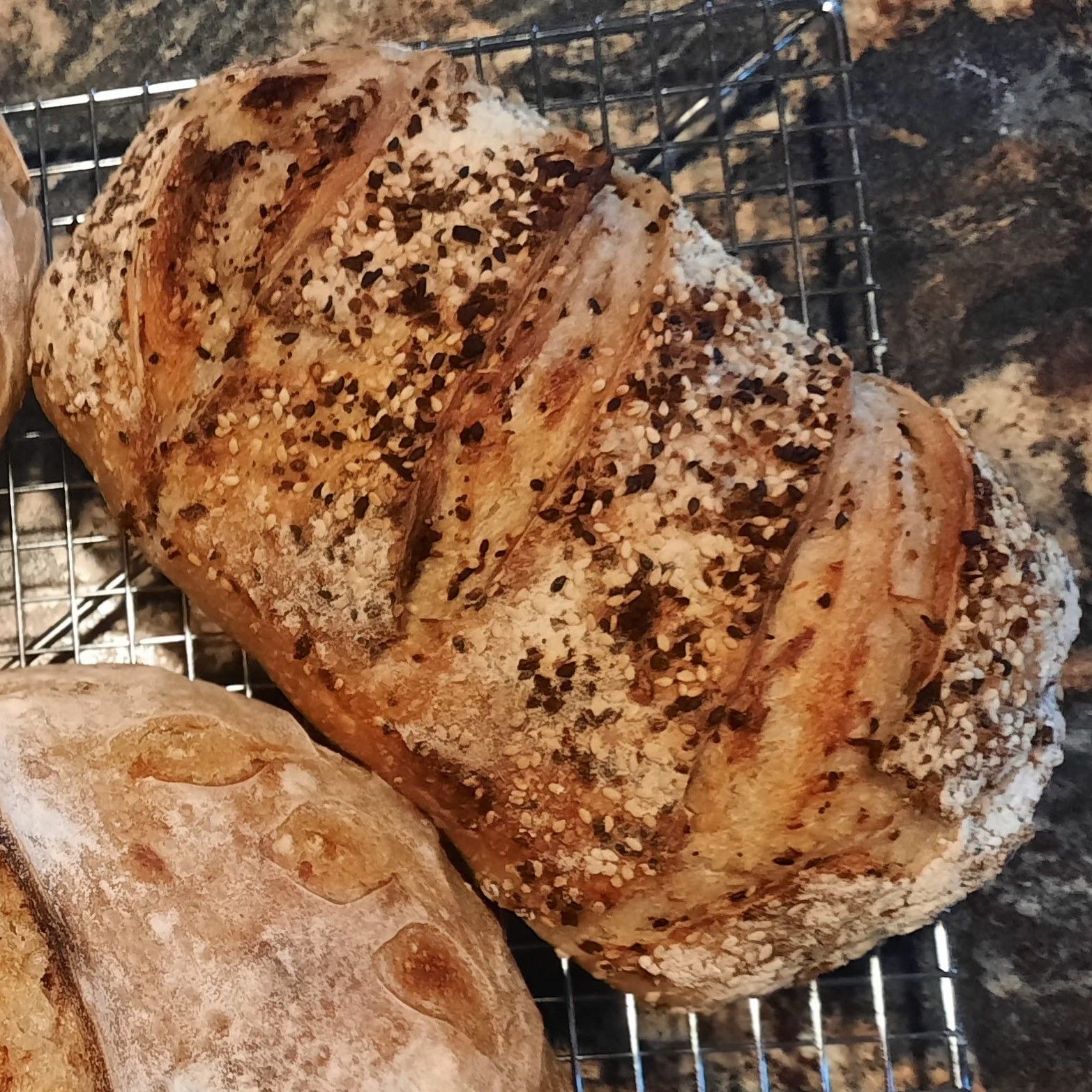 Everything Bagel Sourdough Loaf