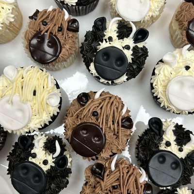 Specialty Cupcakes 