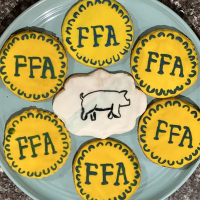 1 Dozen Custom Sugar Cookies