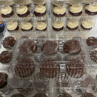 Chocolate Cupcake