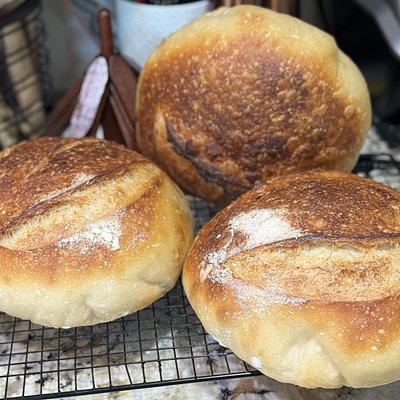 Sourdough Bread 