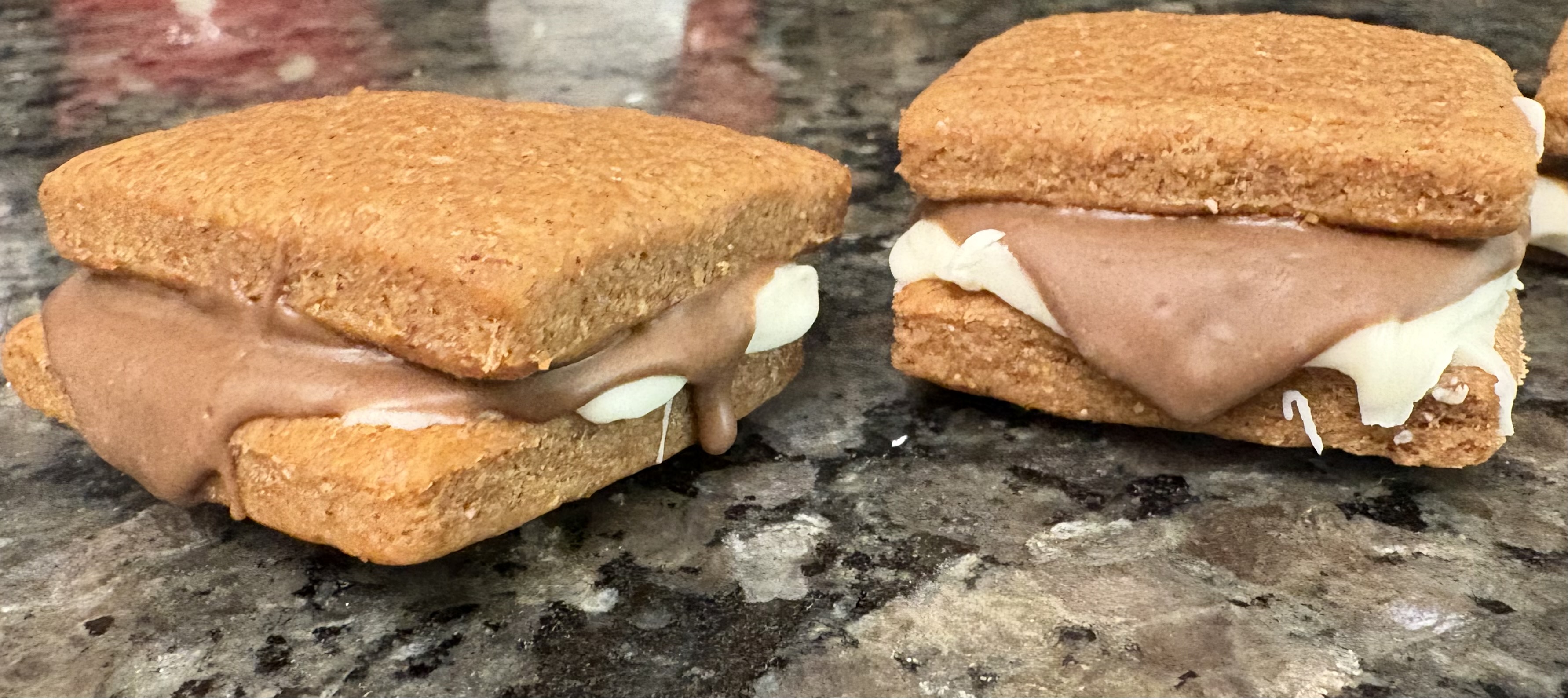Doggie S'mores