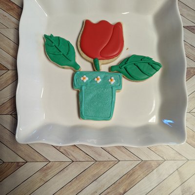 Flower Pot Box