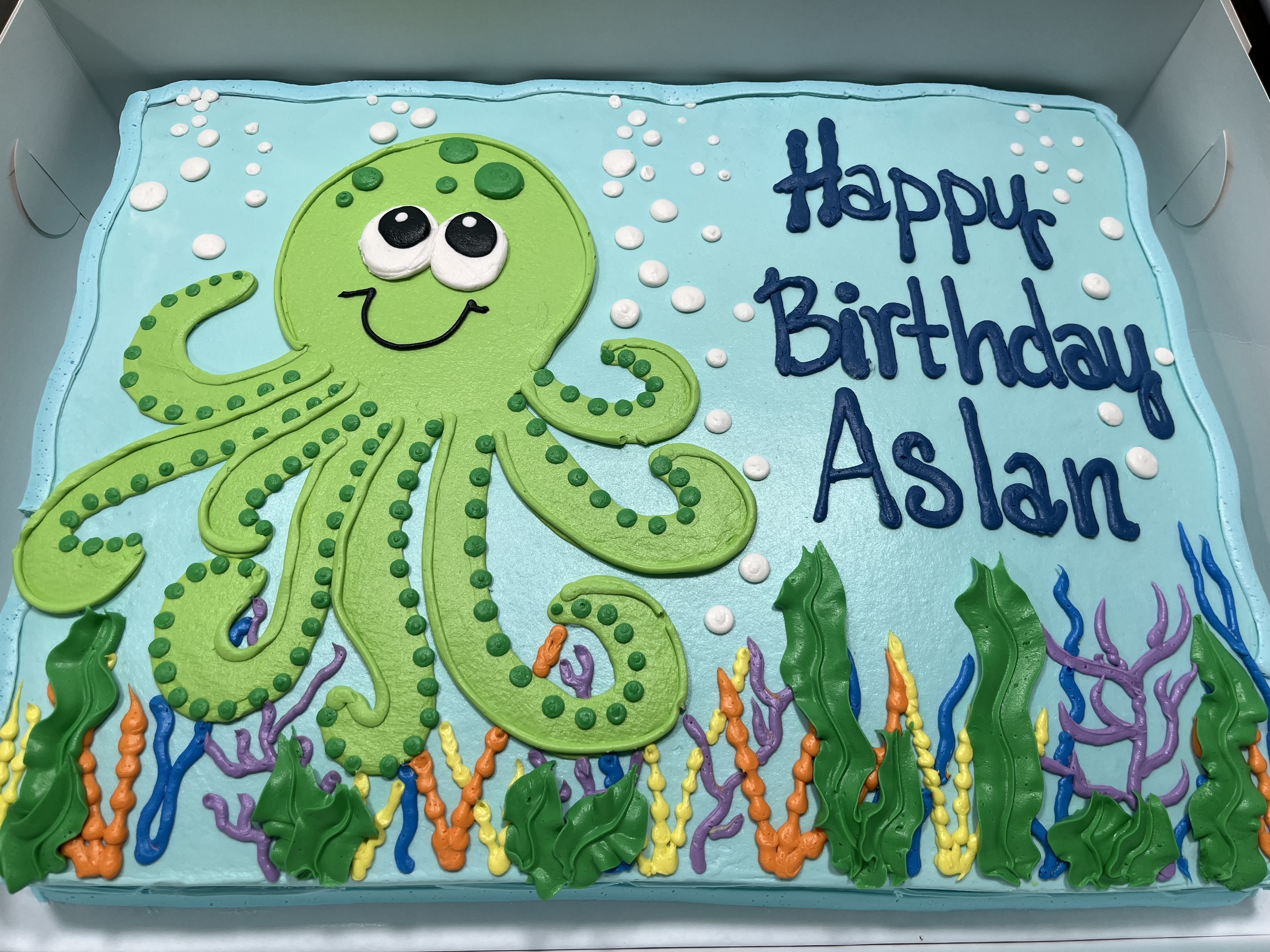 1/2 Sheet Cake (Serves 30-36) 