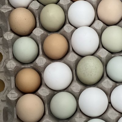 Farm Fresh Eggs 