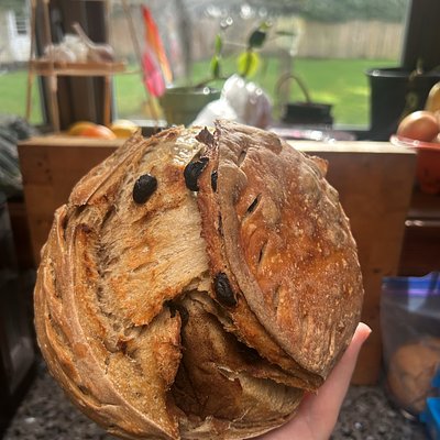 Cinnamon Sugar Rasin 