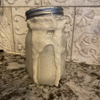 Active Sourdough Starter