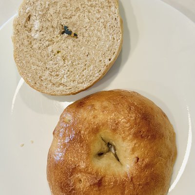 Organic Sourdough Bagels