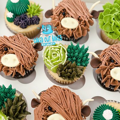 Cupcakes 