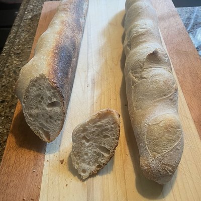 Sourdough French Baguettes (2)