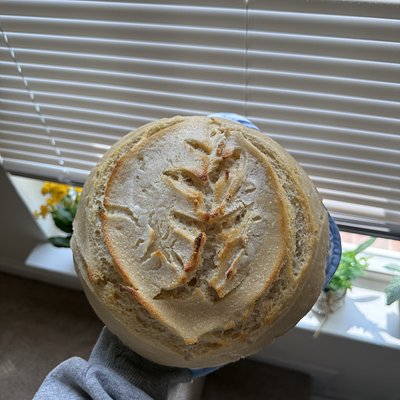Sourdough Loaf (plain)