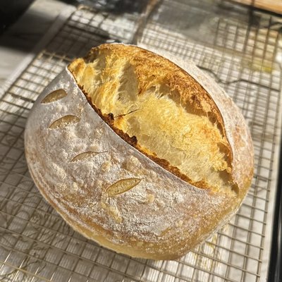 Sourdough Loaf