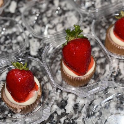 6 Count Speciality Cupcakes 