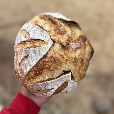 Rosemary Sourdough  Loaf