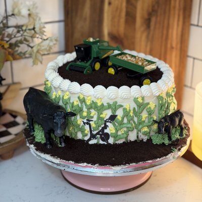 9” Cake (2 Layers)