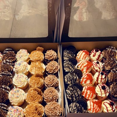 Gourmet Cupcakes Standard Size Dozen 