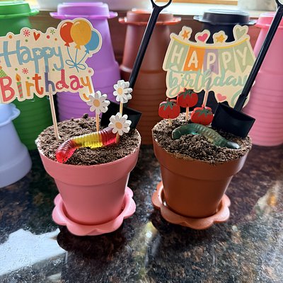 Flower Pot Cupcakes 