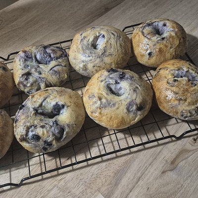 Blueberry Sourdough Bagels 