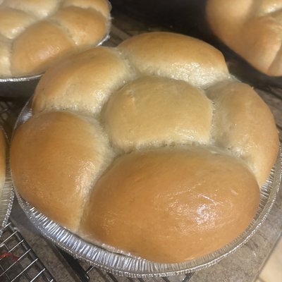 Homemade Yeast Rolls 