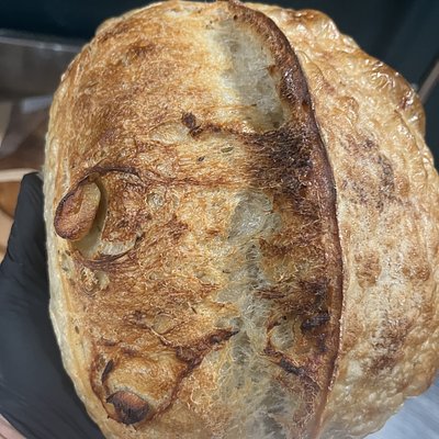 Roasted Garlic & Rosemary Sourdough 