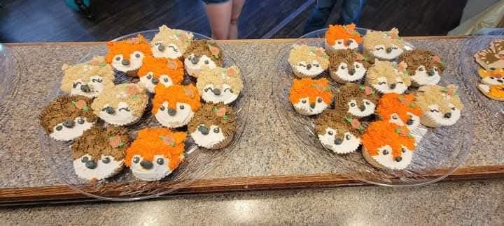 1 Dozen Cupcakes