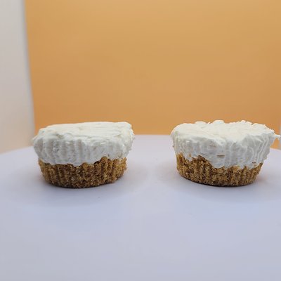 Plain Mini Cheesecake
