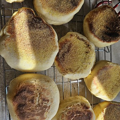 English Muffins 