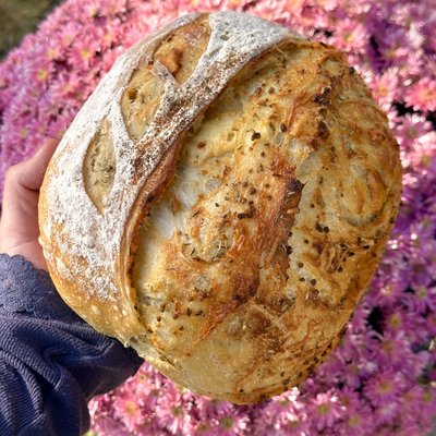 Garlic Herb / Italian Herb Sourdough