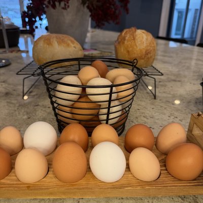 Dozen Farm Fresh Eggs - Limited Supply
