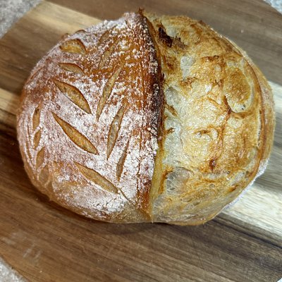 Plain Sourdough Loaf