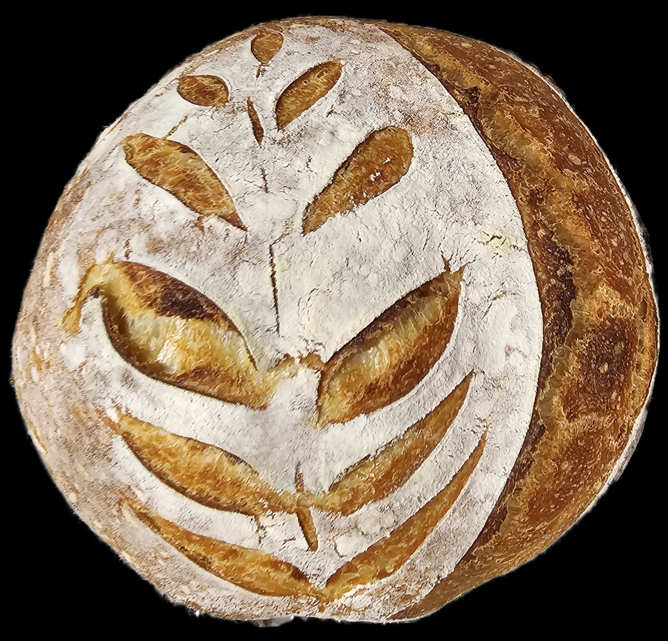 Mini Basic Sourdough Boule (Round)