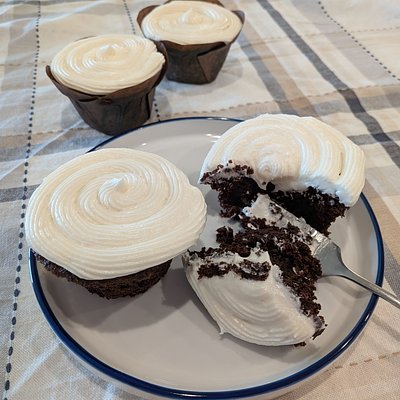 Vegan Dozen Chocolate Mocha Cupcakes 