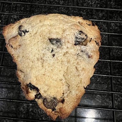 Dried Cherry & Dark Chocolate Scone