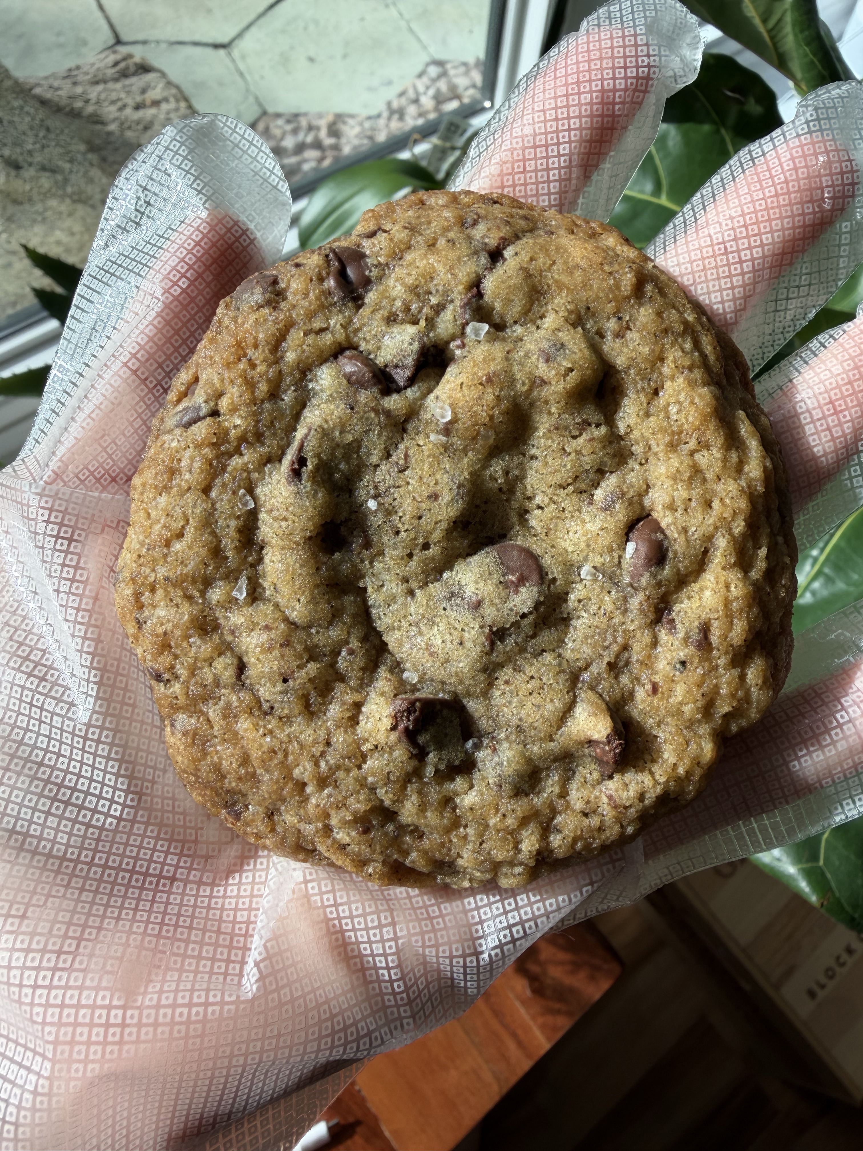 Sourdough Chocolate Chip Cookie 