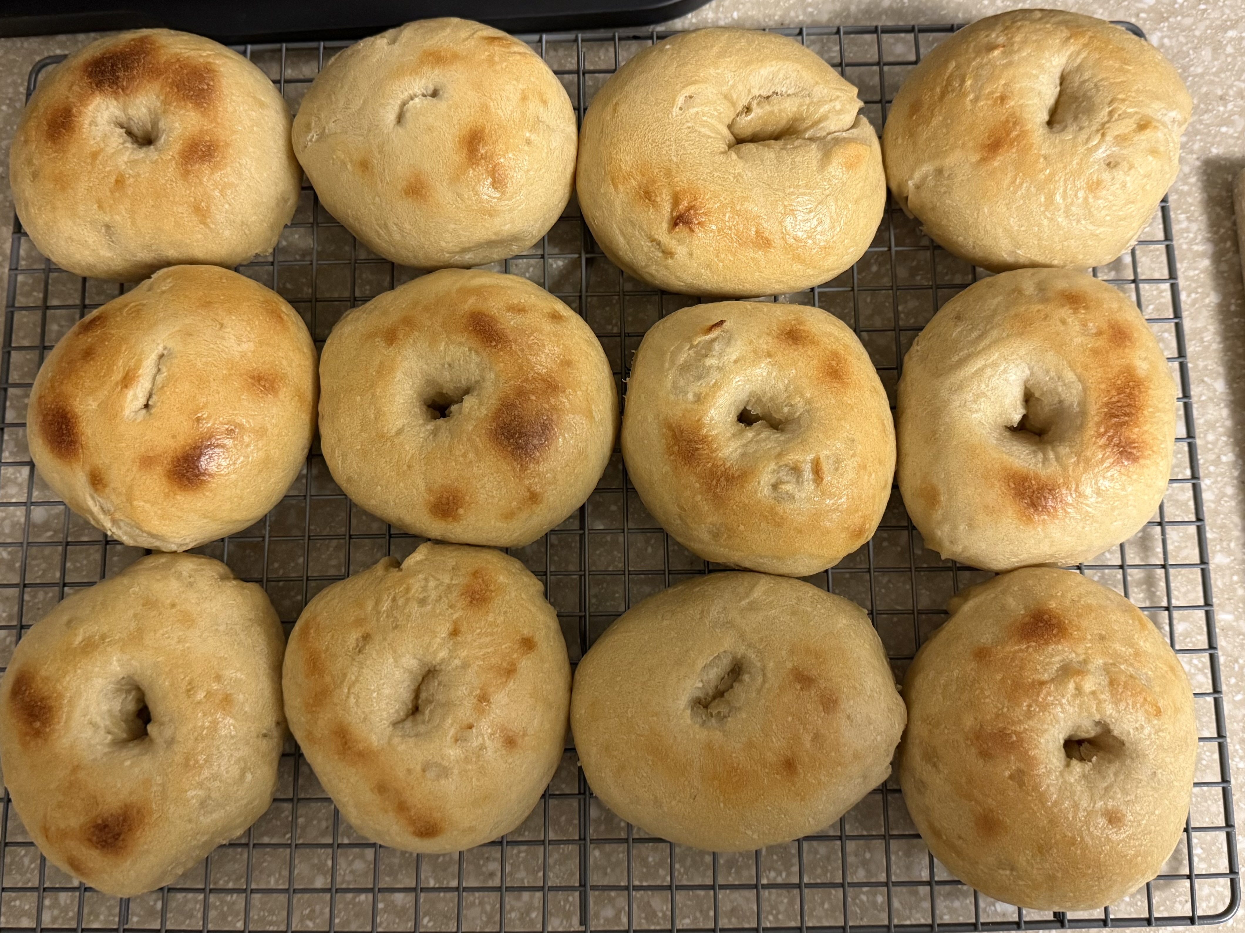 Plain Sourdough Bagels (6 Pk)