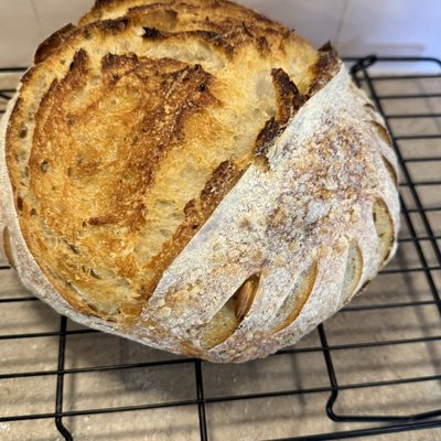 Roasted Garlic & Rosemary