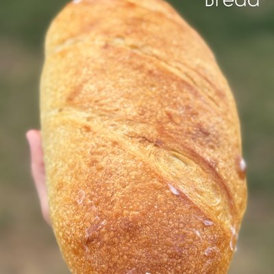Sourdough French Bread