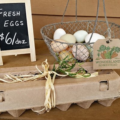 Farm Fresh Eggs Dozen