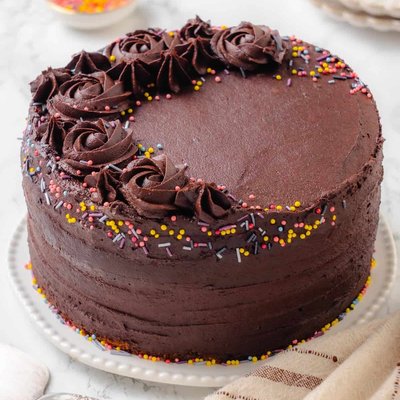 Plant Based Yellow Cake With Chocolate Icing 12 Servings
